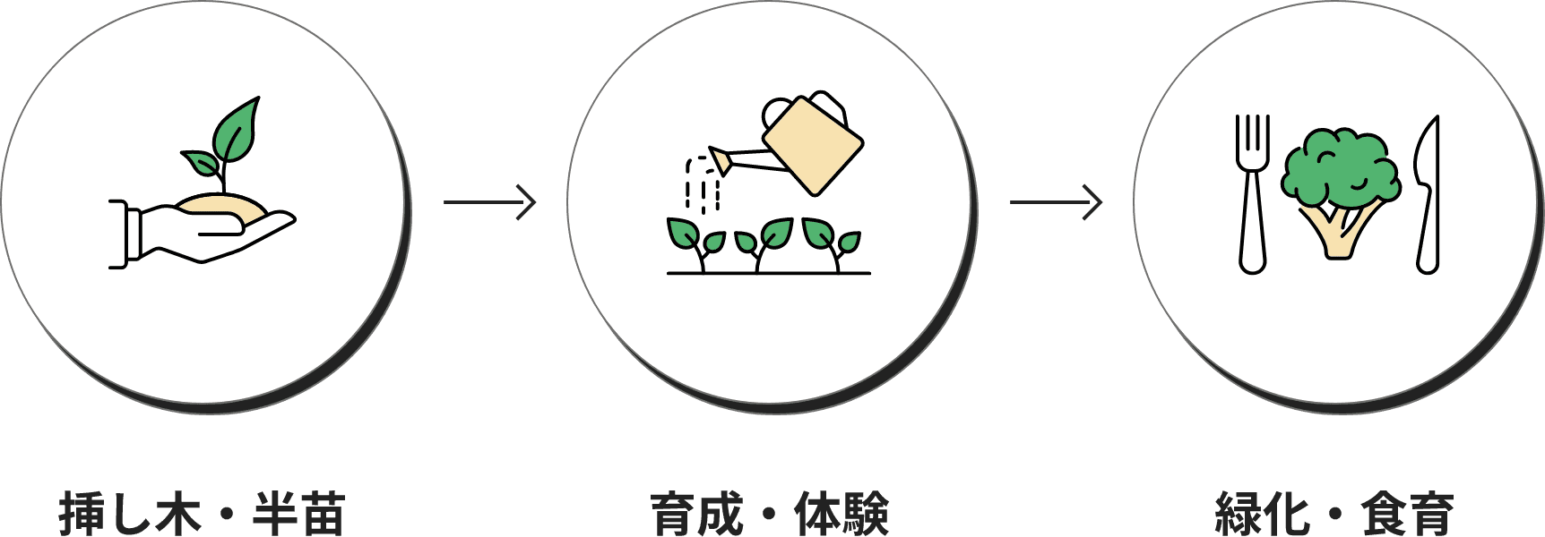 グリーンネットのトータル支援サポート(挿し木・半苗、育成・体験、緑化・食育)